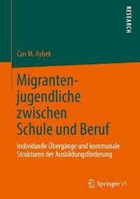 Migrantenjugendliche zwischen Schule und Beruf - Can M. Aybek - E-Book