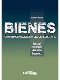 Bienes Constitucionalización del Derecho Civil - Ismael Hernando Arévalo Guerrero - E-Book