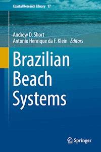 Brazilian Beach Systems -  - E-Book