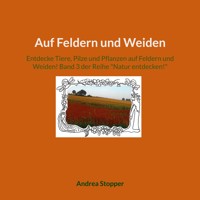 Auf Feldern und Weiden - Andrea Stopper - E-Book