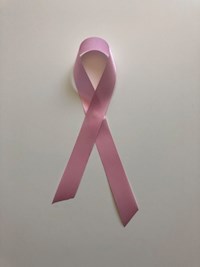 Lilys Reise - Ela Smith - E-Book