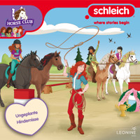 Folge 34: Ungeplante Hindernisse - Anna Lott - Hörbuch