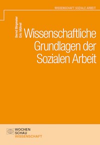 Wissenschaftliche Grundlagen der Sozialen Arbeit - Bernd Birgmeier - E-Book