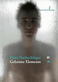 Geheime Elemente - Nathschläger Peter - E-Book