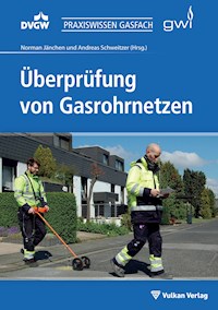 Überprüfung von Gasrohrnetzen -  - E-Book