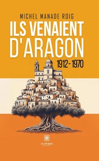 Ils venaient d’Aragon - Michel Manade Roig - E-Book