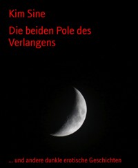 Die beiden Pole des Verlangens - Kim Sine - E-Book
