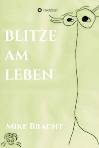 Blitze am Leben - Mike Bracht - E-Book