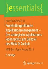 Projektübergreifendes Applikationsmanagement – Der strategische Applikationslebenszyklus am Beispiel des BMW Q-Cockpit - Andreas Györy - E-Book