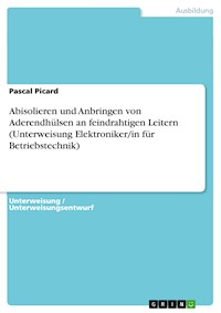 Abisolieren und Anbringen von Aderendhülsen an feindrahtigen Leitern (Unterweisung Elektroniker/in für Betriebstechnik) - Pascal Picard - E-Book