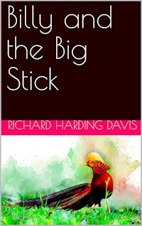 Billy and the Big Stick - Richard Harding Davis - E-Book