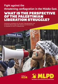 What is the perspective of the palestinian liberation struggle? - Gabi Fechtner - E-Book