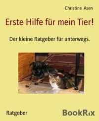 Erste Hilfe für mein Tier! - Christine Asen - E-Book