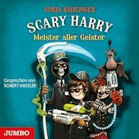 Scary Harry. Meister aller Geister [Band 3] - Sonja Kaiblinger - Hörbuch