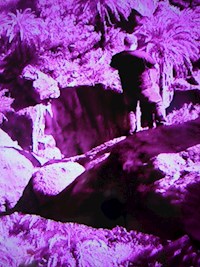 Verzweifelungsschrei vorm Abgrund - Rolf Spittel - E-Book