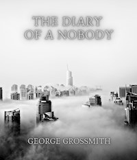 The Diary of a Nobody - George Grossmith - E-Book
