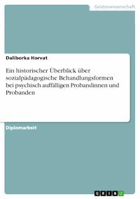 Ein historischer Überblick über sozialpädagogische Behandlungsformen bei psychisch auffälligen Probandinnen und Probanden - Daliborka Horvat - E-Book