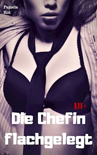 Die Chefin flachgelegt - Pamela Hot - E-Book