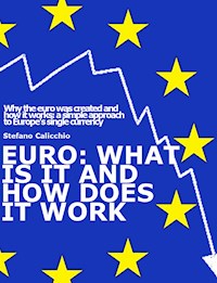 EURO: What is it and how does it work - Stefano Calicchio - E-Book