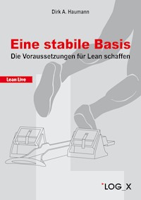 Eine stabile Basis - Dirk A. Haumann - E-Book