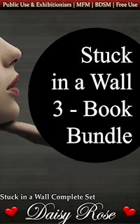 Stuck In A Wall 3-Book Bundle - Daisy Rose - E-Book