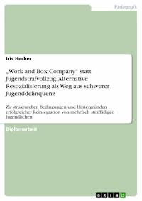 „Work and Box Company“ statt Jugendstrafvollzug. Alternative Resozialisierung als Weg aus schwerer Jugenddelinquenz - Iris Hecker - E-Book