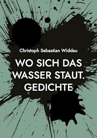 Wo sich das Wasser staut - Christoph Sebastian Widdau - E-Book
