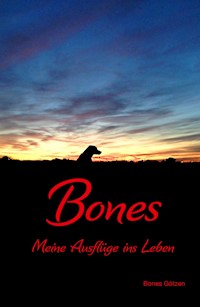 Bones - Marc Götzen - E-Book
