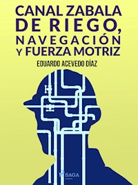 Canal Zabala de Riego, navegación y fuerza motriz - Eduardo Acevedo Diaz - E-Book