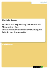 Effizienz und Regulierung bei natürlichen Monopolen - Eine institutionenökonomische Betrachtung am Beispiel des Strommarkts - Christofer Burger - E-Book