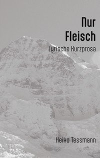 Nur Fleisch - Heiko Tessmann - E-Book