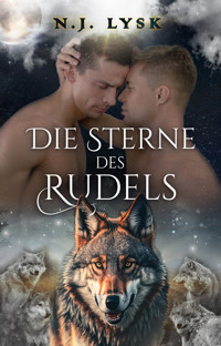 Die Sterne des Rudels: Bücher 1-5 - N.J. Lysk - E-Book