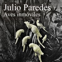Aves inmóviles - Julio Paredes - Hörbuch