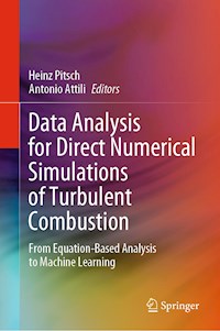 Data Analysis for Direct Numerical Simulations of Turbulent Combustion -  - E-Book