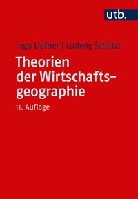Theorien der Wirtschaftsgeographie - Ingo Liefner - E-Book