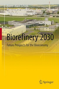 Biorefinery 2030 - Pierre-Alain Schieb - E-Book