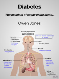 Diabetes - Owen Jones - E-Book