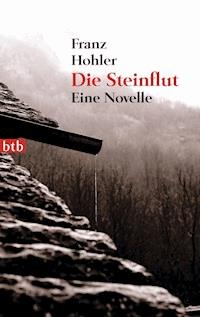 Die Steinflut - Franz Hohler - E-Book