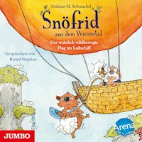 Snöfrid aus dem Wiesental. Der wahrlich wildbewegte Flug im Luftschiff - Andreas H. Schmachtl - Hörbuch