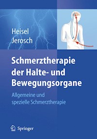 Schmerztherapie der Halte- und Bewegungsorgane - J. Heisel - E-Book