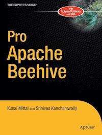 Pro Apache Beehive - Srinivas Kanchanavally - E-Book