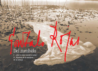 Del zumbido - Gonzalo Rojas - E-Book