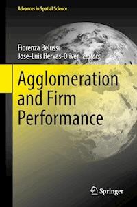 Agglomeration and Firm Performance -  - E-Book