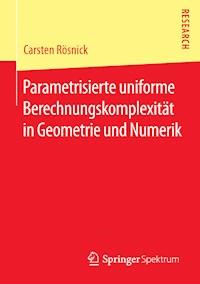 Parametrisierte uniforme Berechnungskomplexität in Geometrie und Numerik - Carsten Rösnick - E-Book