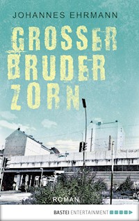 Großer Bruder Zorn - Johannes Ehrmann - E-Book