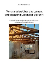 Tomasz oder: Über das Lernen, Arbeiten und Leben der Zukunft - Joachim Bröcher - E-Book