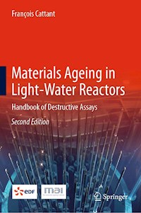 Materials Ageing in Light-Water Reactors - François Cattant - E-Book