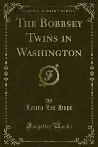 The Bobbsey Twins in Washington - Laura Lee Hope - E-Book