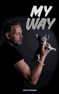 my way - Heiko Münzner - E-Book