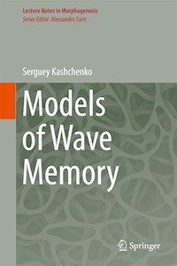 Models of Wave Memory - Serguey Kashchenko - E-Book